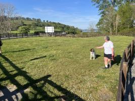 Facilities at Glanllyn  - 
