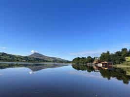Picture Gallery - 