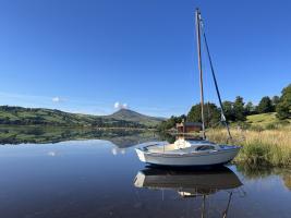 Picture Gallery - 