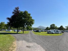 Picture Gallery - 