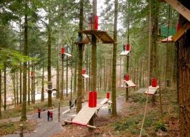 Water sports & Activities - Zip Forest